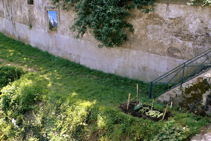 jardin Rennes2