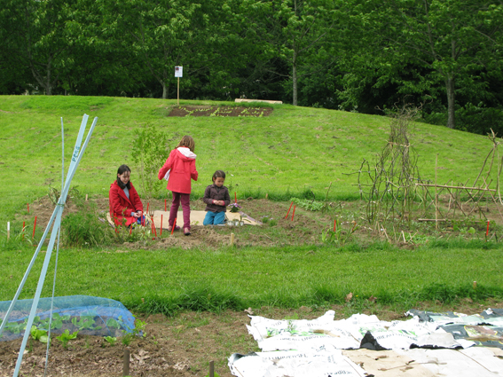 populaire-2-jardins-pop04