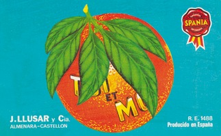 T&M feuilles